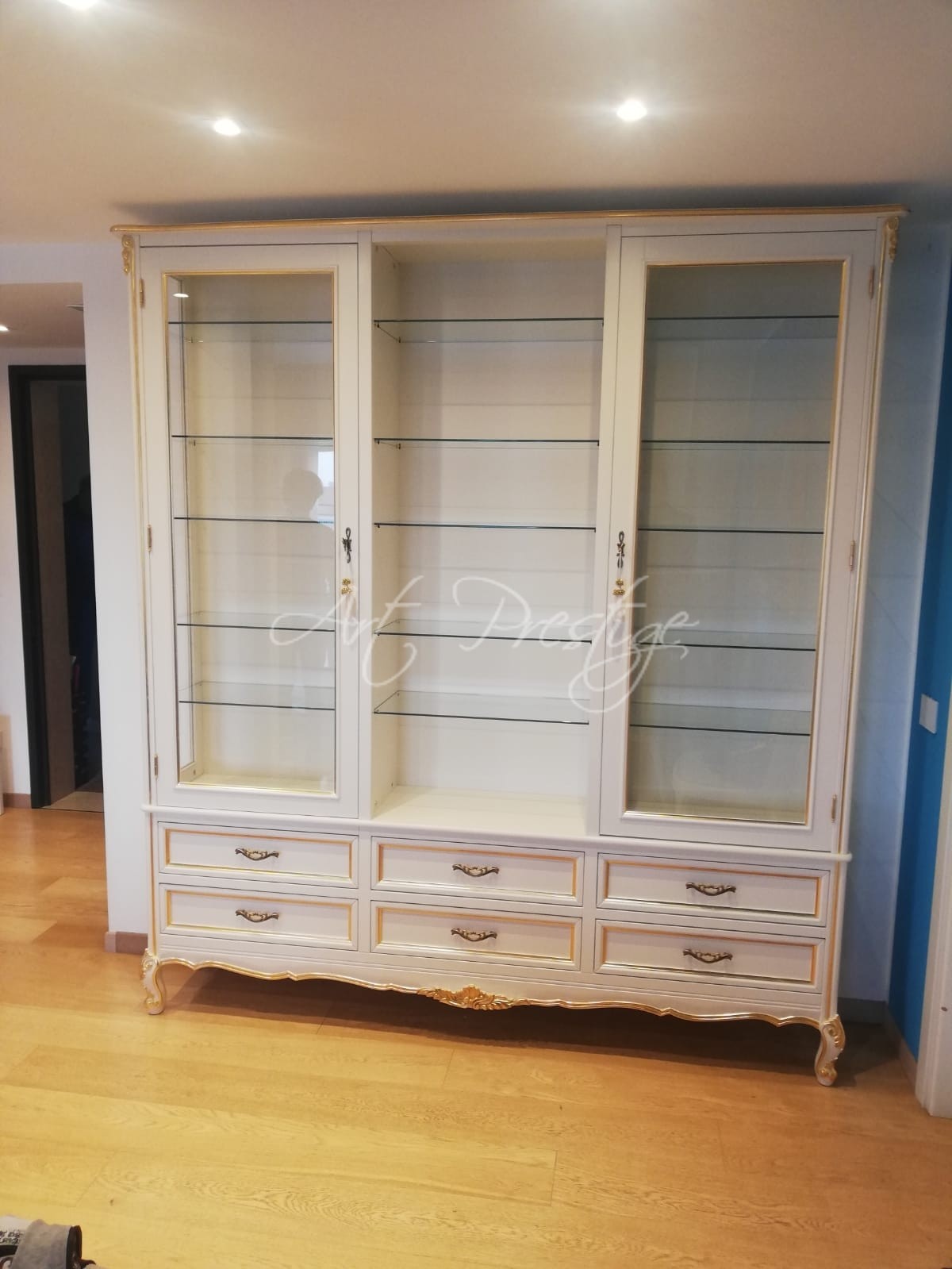 Showcase bookcase 2 doors 6 drawers